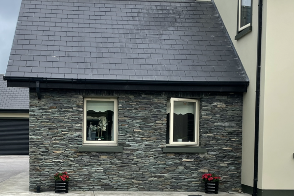 Ballyfinane5